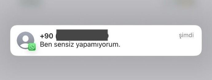 Bu mesajı alsanız , ne yaparsınız?