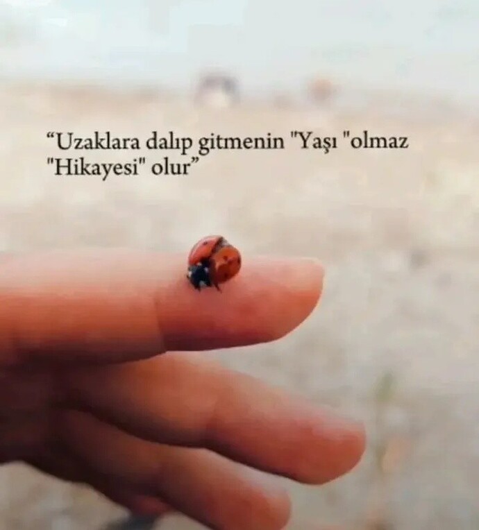 Uzaklara dalıp gitme hikayeniz var mı?