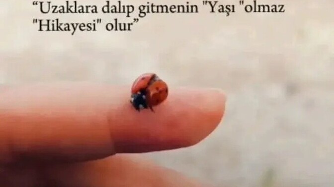 Uzaklara dalıp gitme hikayeniz var mı?