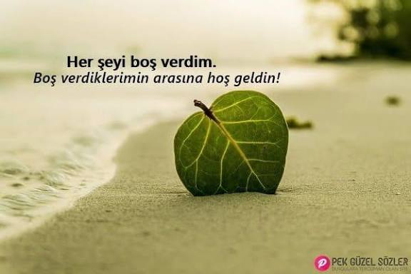 Bana oyle bahaneler soyleyin ki sevgiliniz olsam sizi terk edeyim?