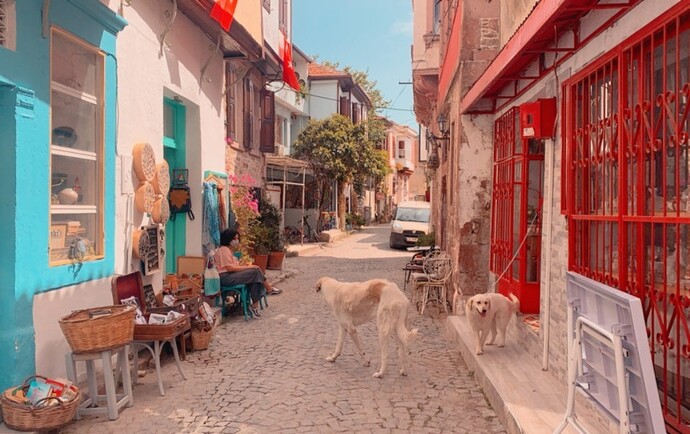 Turistik yerleri sever misinizz?