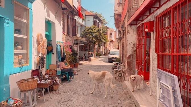 Turistik yerleri sever misinizz?