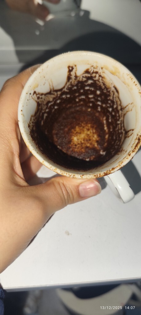 Falıma bakar mısınız?