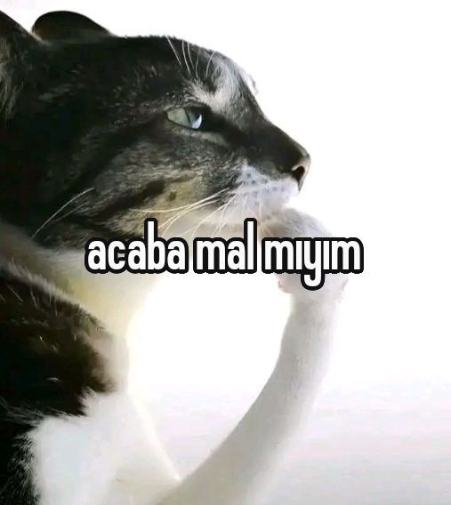 En sevdiğiniz yemeği tahmin ediyim mi?