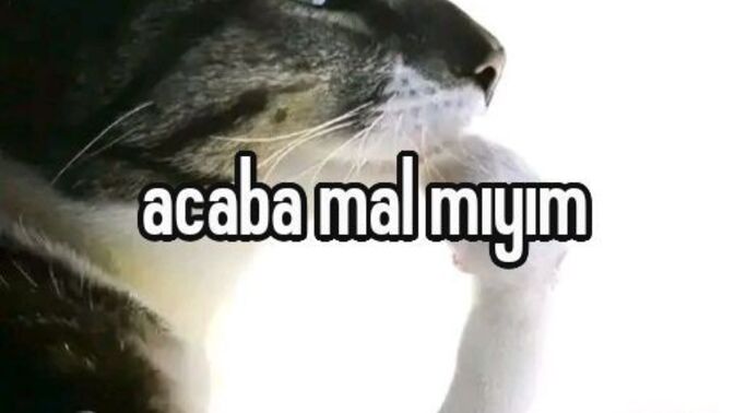 En sevdiğiniz yemeği tahmin ediyim mi?