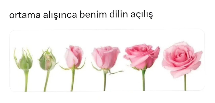 İnsan ortama alışınca mı açılır, yoksa baştan nasılsa öyle midir?