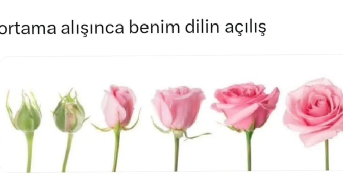 İnsan ortama alışınca mı açılır, yoksa baştan nasılsa öyle midir?