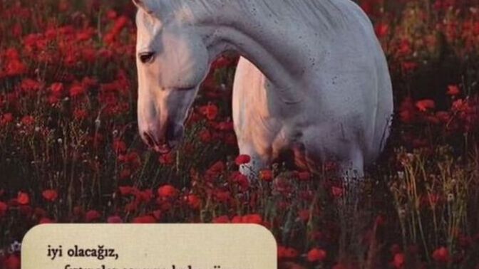 İnsan sevdiği için mi katlanır, yoksa umut ettiği için mi🤍?