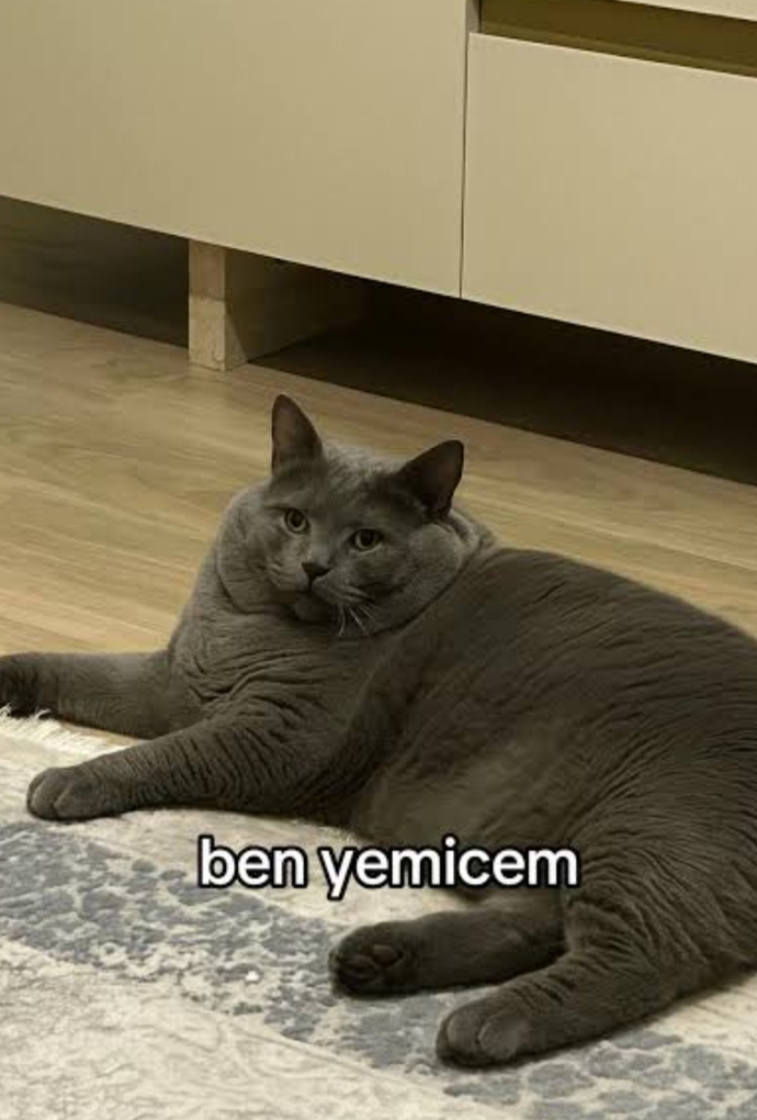 Açlıktan ölmek üzere olsan hangisini yemeyi tercih ederdin?