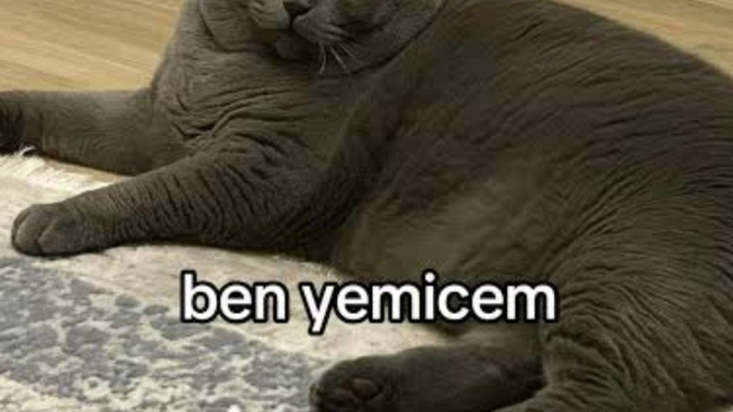 Açlıktan ölmek üzere olsan hangisini yemeyi tercih ederdin?