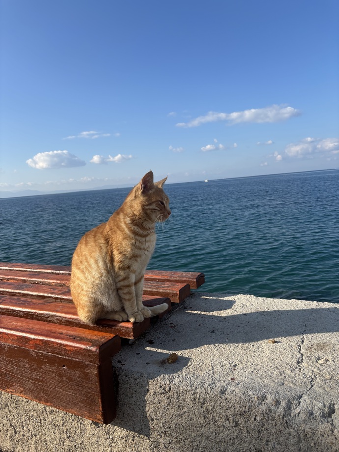 Anlık manzaranızda ne var?