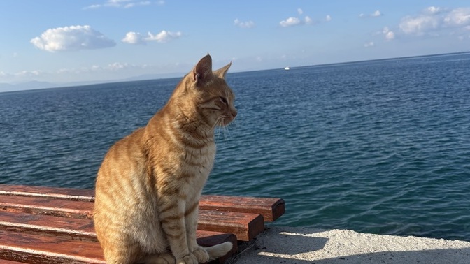 Anlık manzaranızda ne var?