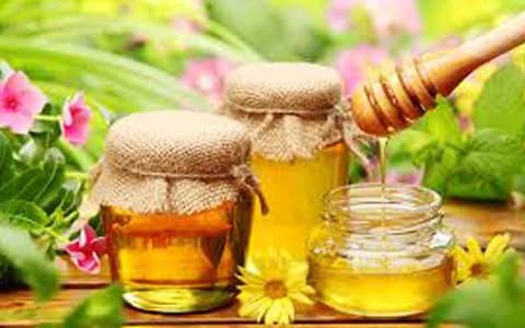 Ne tür bal seversiniz?