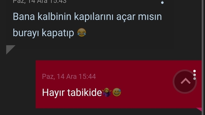 Makul bir insanmısın yoksa çirkinleşen türden insan mı😅 , hani istediğin olmadığında mutant geçirenlerden🥳😅?
