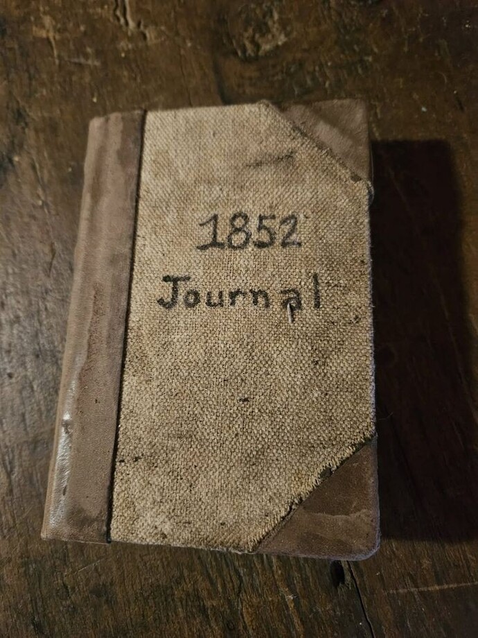 Eski bir günlük bulursanız okur musunuz?