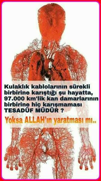 Allah’ı göremeyen nankördür?