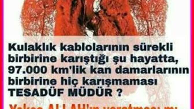 Allah’ı göremeyen nankördür?