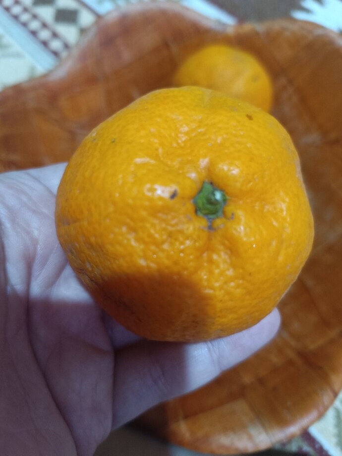 Mandalina severmisiniz?