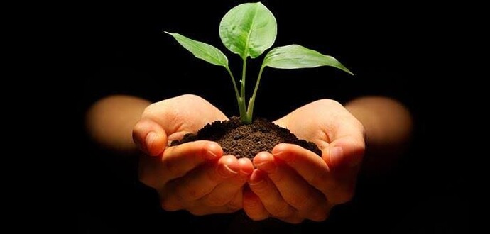 Ruhunuzun gıdası nedir?