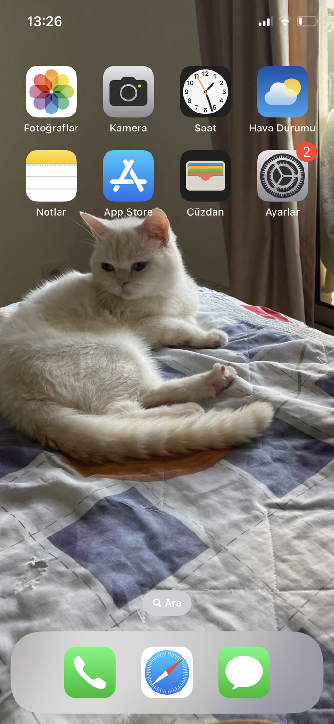Bu kedi güzel mi sizce?