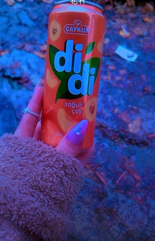 Didi ile bir cümle kurun dersem kurabilir misiniz?