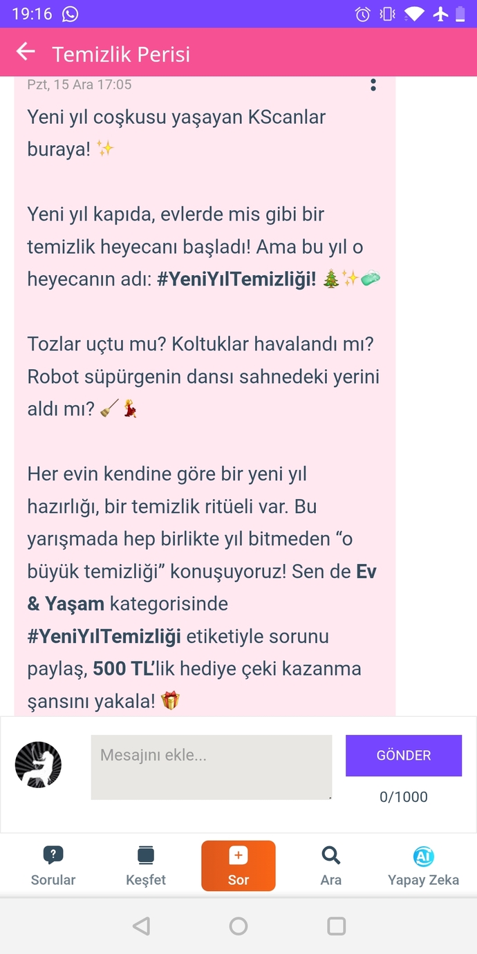 Temizlik perisi bizimle eğlenir mi?