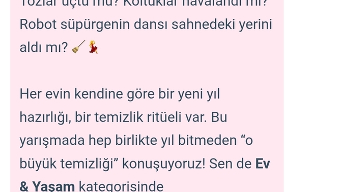 Temizlik perisi bizimle eğlenir mi?