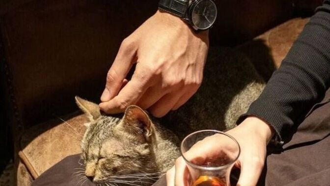 Bir insanın hangi davranışı sizde kalıcı bir iz bırakır?