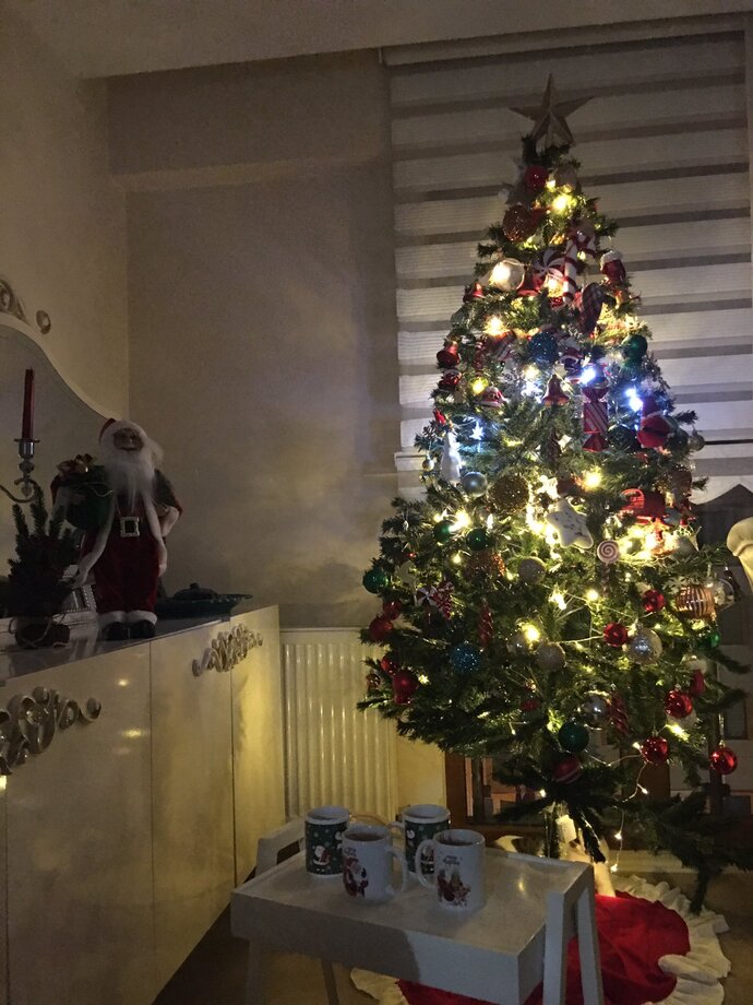 Yılbaşı ağacım nasıl görünüyor 🎄😍?