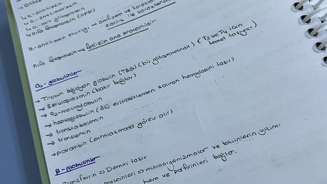 Kafanızı dinlemek için neler yaparsınız?