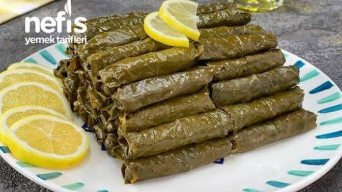 Zeytinyağlılardan hangisi favoriniz?