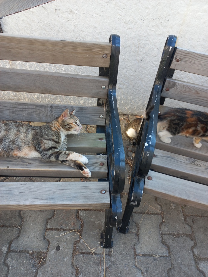 Bir çift göze mi yenik düştün? bir çift söze mi? :d