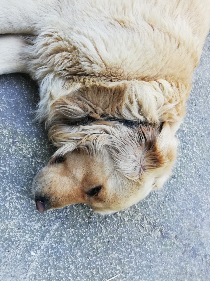 Galerinizde ki en son fotoğraf ne?