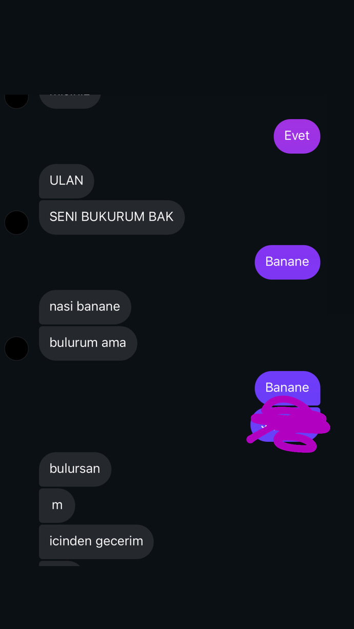 Bu mesajları atan biri normal olabilir mi sizce?