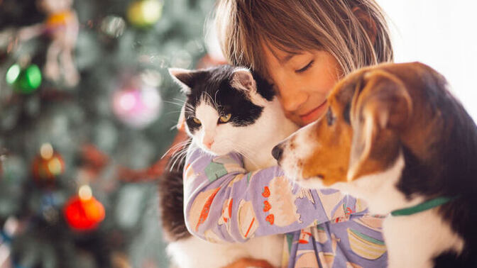 Sana göre hayvan sevgisi sonradan kazanılır mı?