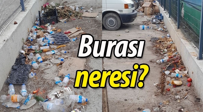 Kış mevsiminde balkon temizliğini ne sıklıkla yaparsınız?