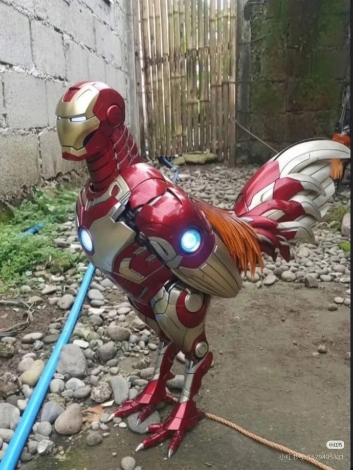 Çeyize mutfak robotu konulmalı mı?