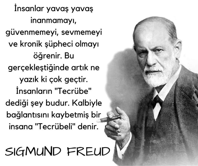 Tecrübeli kime denir?