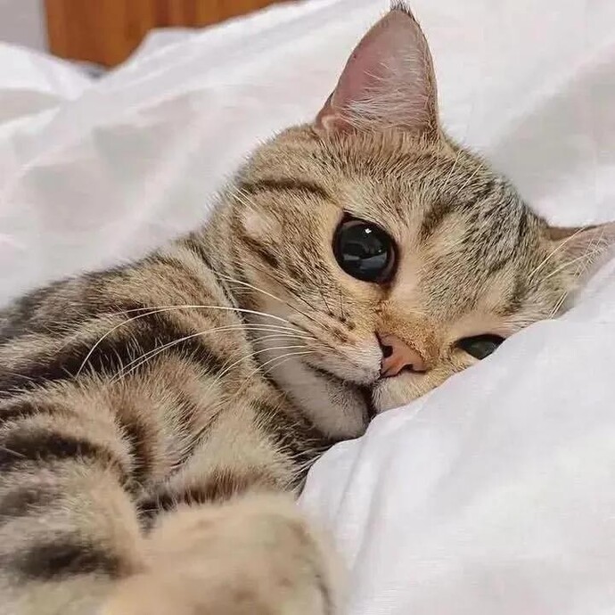 İyi geceler ve hayırlı sabahlar öpücüğü istemede haklı mıyım?