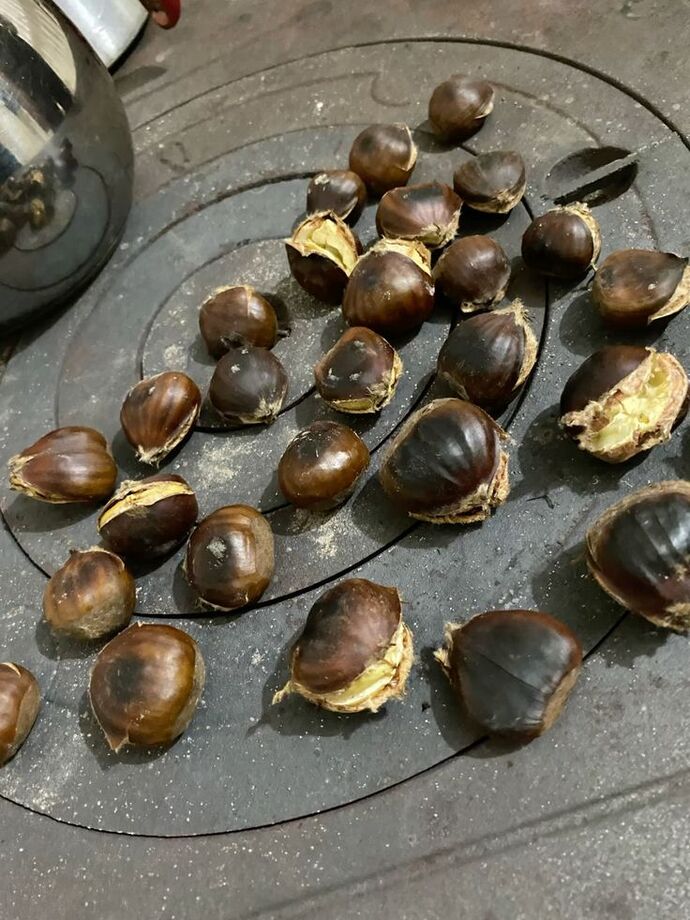 En son ne zaman kestane yediniz?
