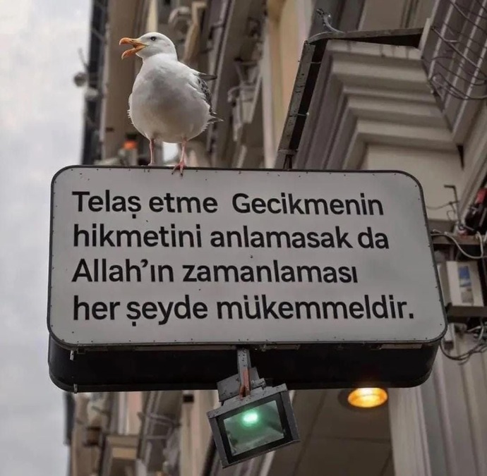 Geç kalmışlık hissi hayatınızı yönetiyor mu?