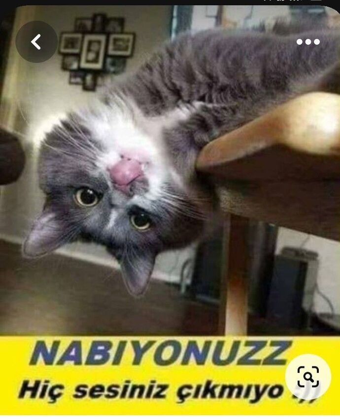 Gunaydinnn ☀️ kahvaltı yaptınız mii?