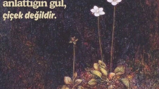 Üslubuna dikkat edermisin konuşurken?