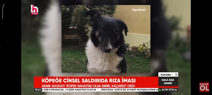 Köpeğin rızası vardı denildi tecavüzcü serbest bırakıldı. ne düşünüyorsunuz ?