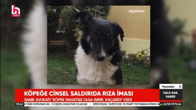 Köpeğin rızası vardı denildi tecavüzcü serbest bırakıldı. ne düşünüyorsunuz ?