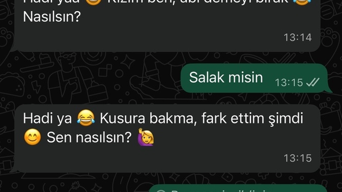 Whatsaba gelemem yapay zeka çok gereksiz değil mi?