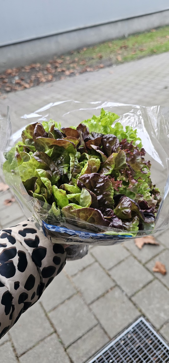 En son ne zaman birinden çiçek aldınız veya hediye ettiniz 💐?