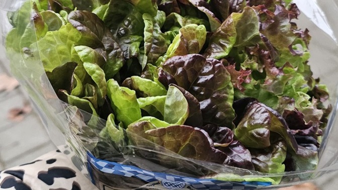 En son ne zaman birinden çiçek aldınız veya hediye ettiniz 💐?