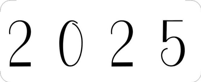 2025 i tek kelime ile özetlesen ne olurdu?