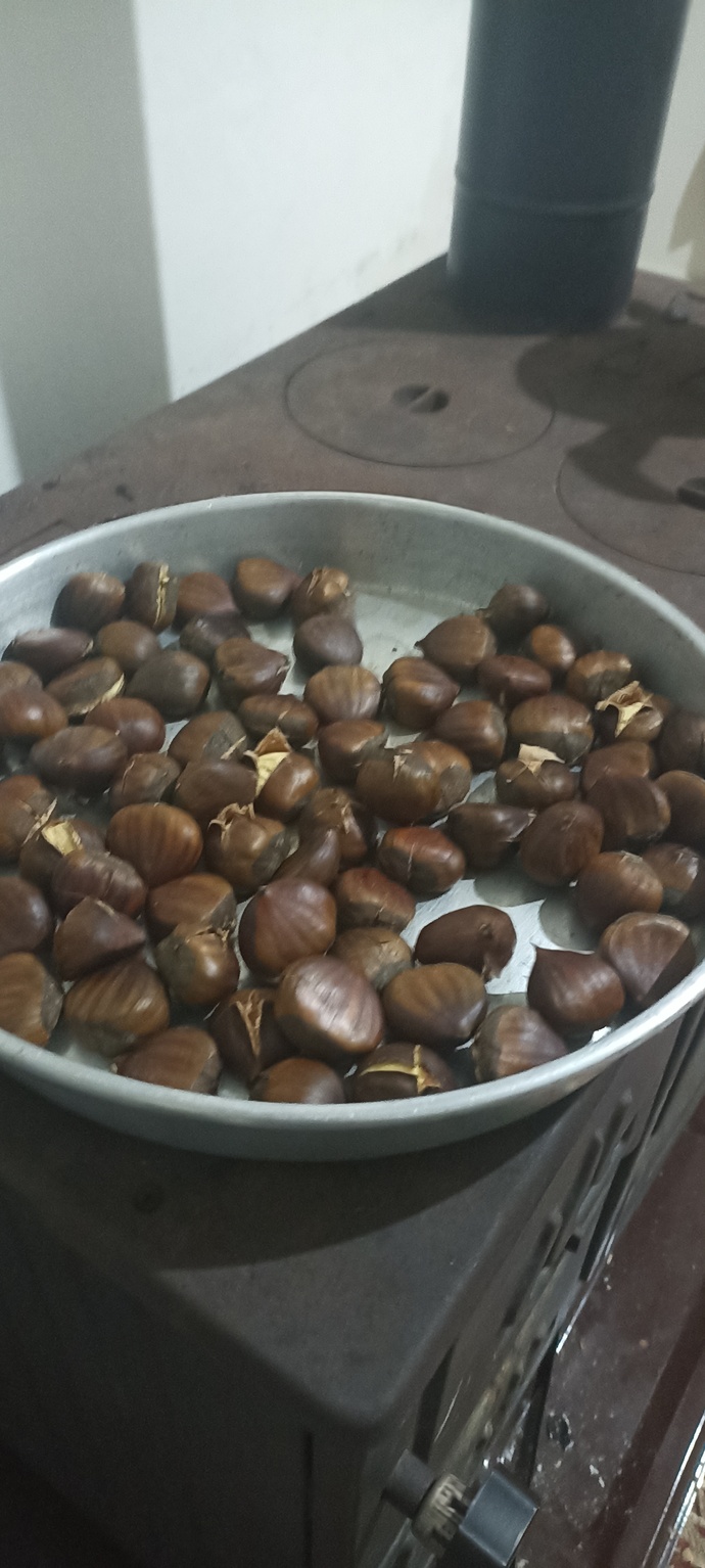 Kestane severmisiniz? Yermisiniz?